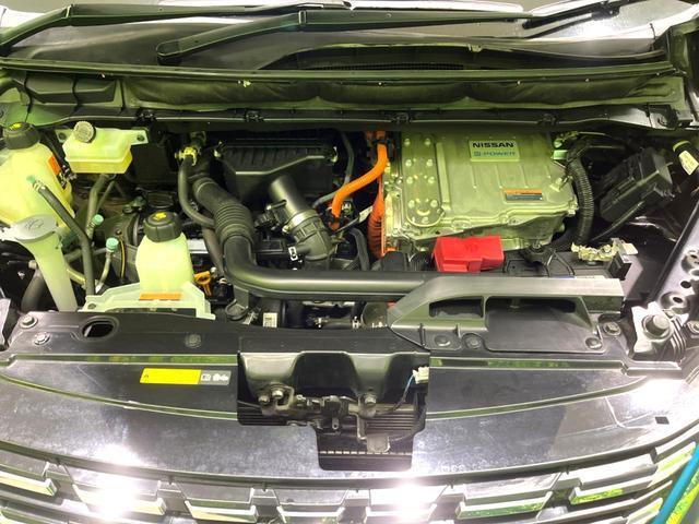 22003313_carP_l_18.jpg