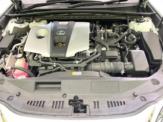 20869410_carP_l_16.jpg