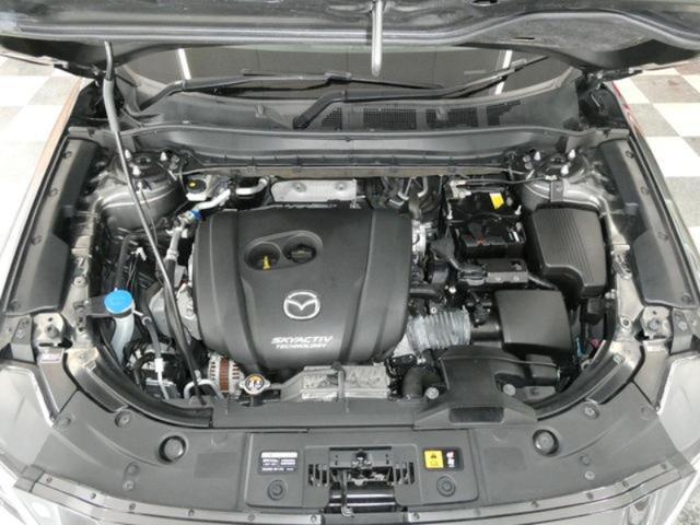 511f100221048635779ecbe60f81509a.jpeg