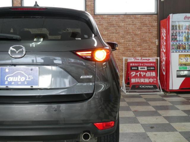 afe2090d458fc179a73e255064753597.jpeg