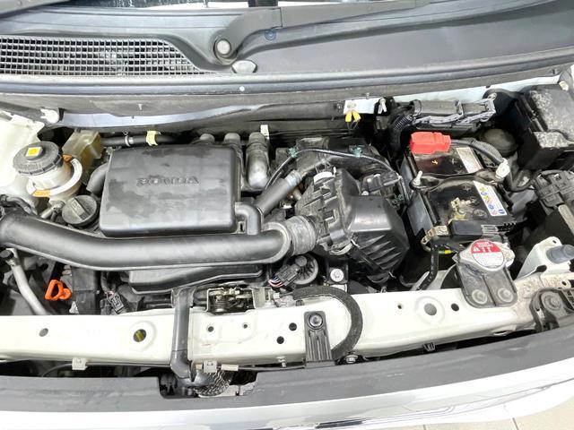 23188529_carP_l_16.jpg