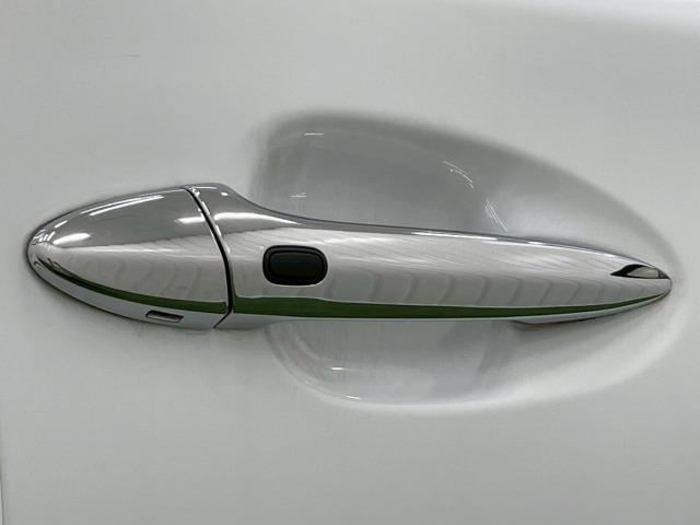 20568360_carP_l_16.jpg