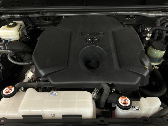 21237086_carP_l_16.jpg