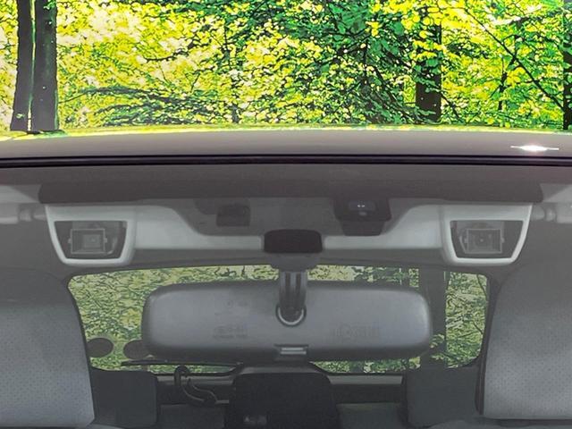 22150828_carP_l_15.jpg