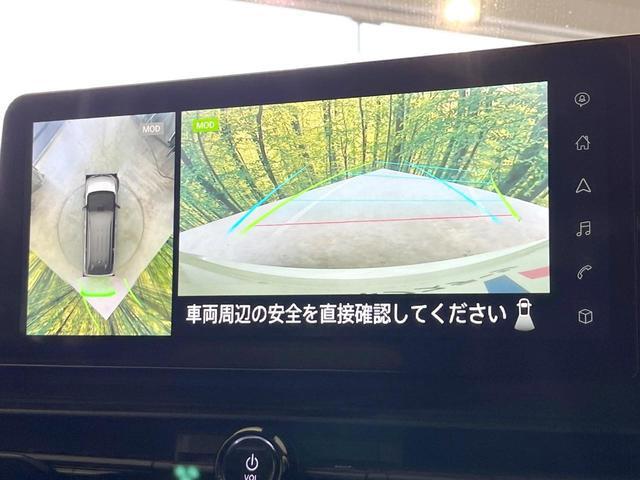 22410843_carP_l_4.jpg
