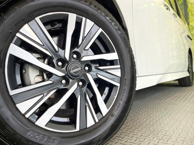 22410843_carP_l_8.jpg