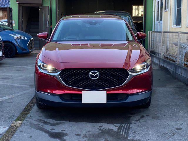6fca9d0b31538584526dd7d0fd78f600.jpg