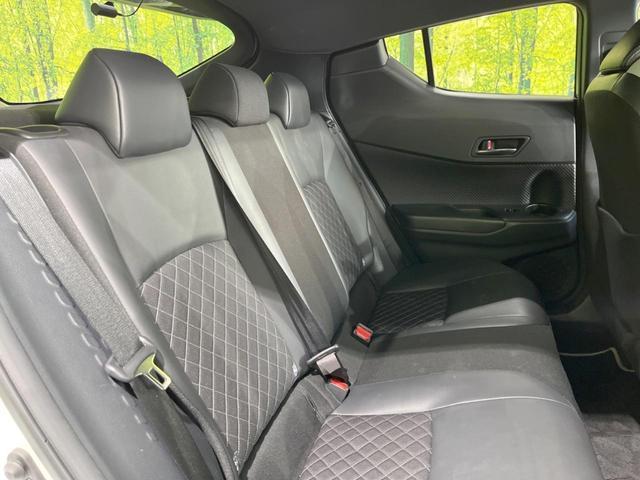 21983907_carP_l_19.jpg