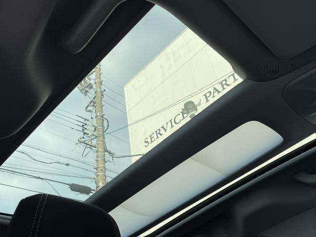 22410546_carP_l_3.jpg