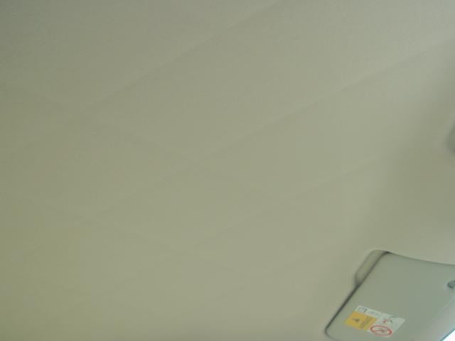 0802945A30241129W00114.jpg