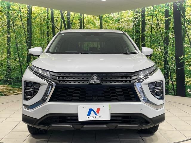 19070637_carP_l_8.jpg
