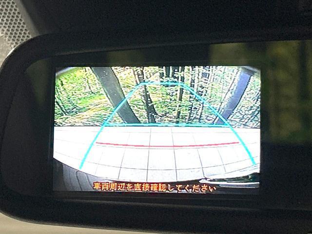 22224523_carP_l_13.jpg