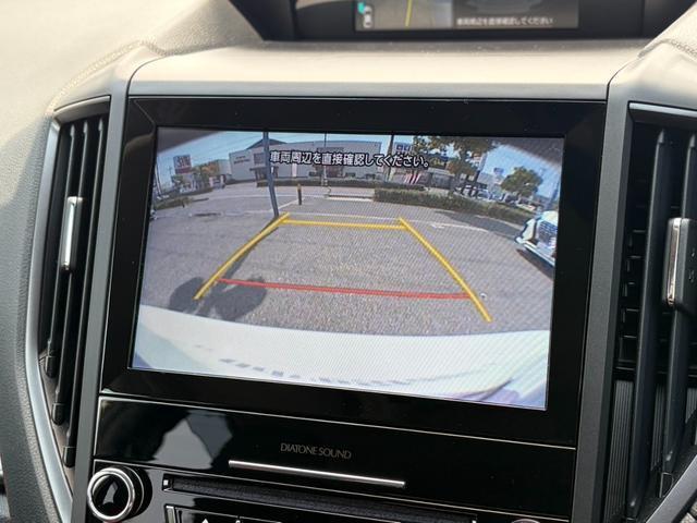 23148667_carP_l_13.jpg