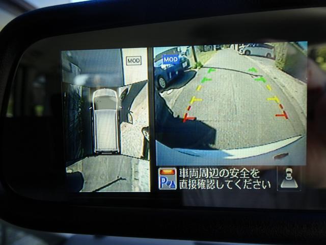 23239026_carP_l_12.jpg