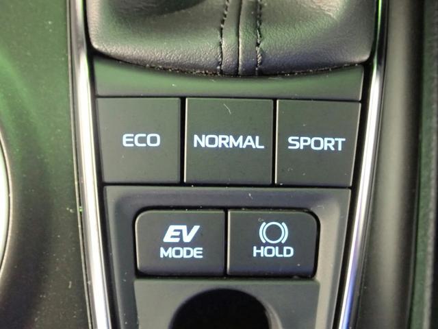 0204644A30251220W00214.jpg