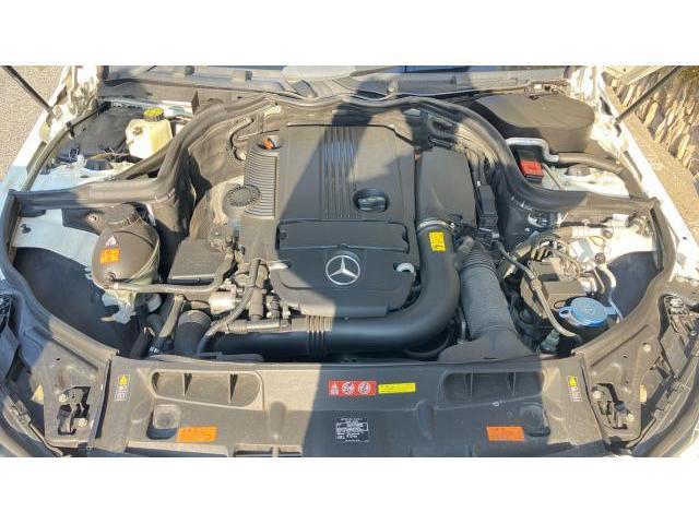 23040006_carP_l_12.jpg