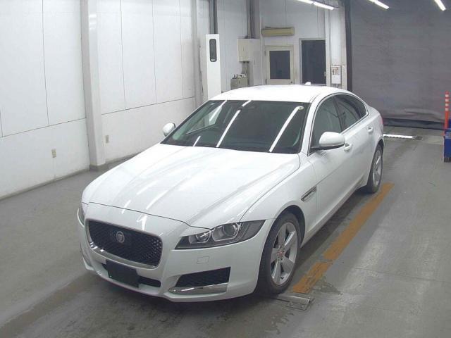 22052268_carP_l_1.jpg