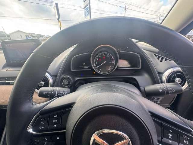 1100035A30260115W00315.jpg