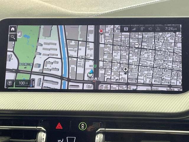 21817299_carP_l_4.jpg