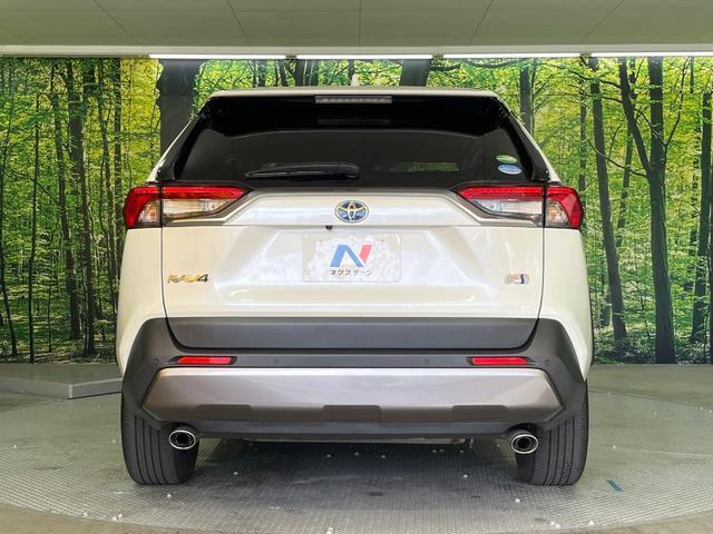 20556285_carP_l_18.jpg