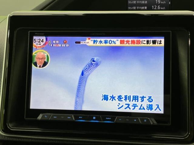 22673607_carP_l_7.jpg
