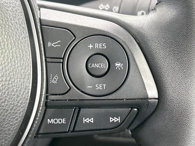 21817648_carP_l_13.jpg