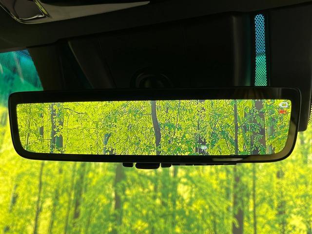 23225894_carP_l_14.jpg