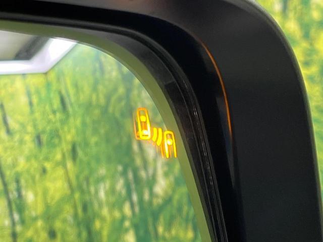 22187087_carP_l_13.jpg
