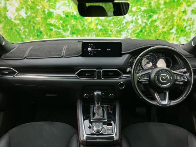 21219339_carP_l_4.jpg
