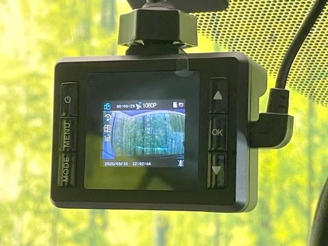 19614040_carP_l_10.jpg