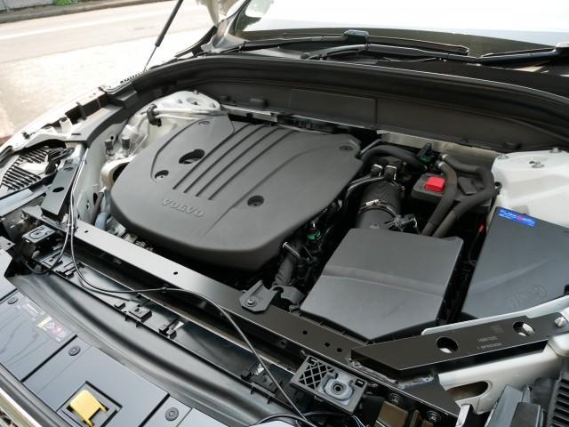 19629943_carP_l_7.jpg