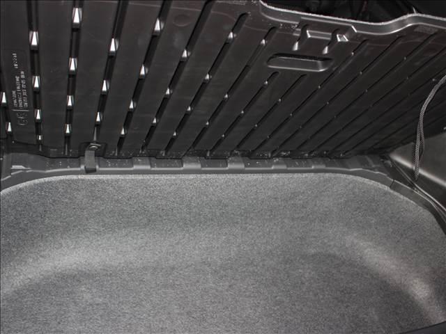 20867929_carP_l_20.jpg