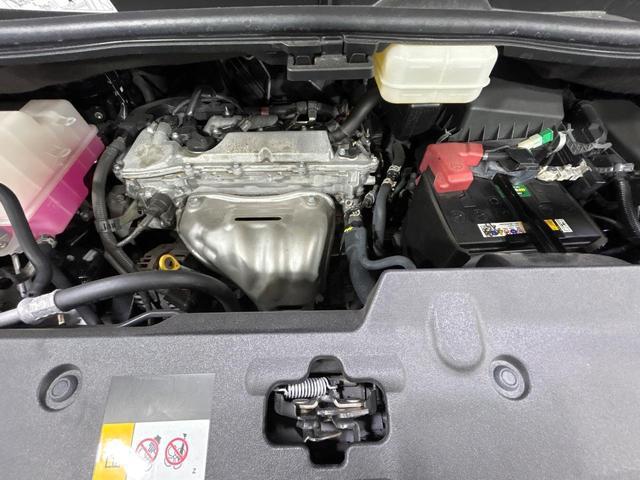 22957055_carP_l_16.jpg
