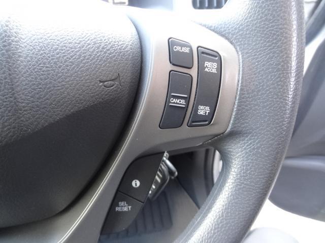 22563337_carP_l_14.jpg