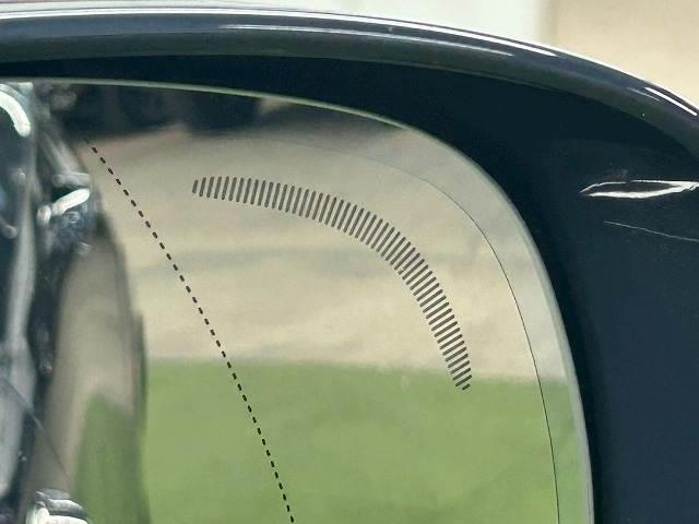 22309888_carP_l_2.jpg