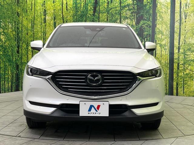 21817413_carP_l_9.jpg
