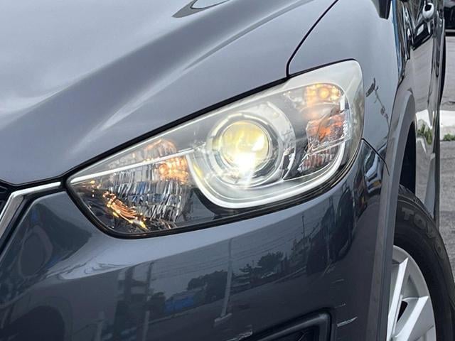 17111001_carP_l_7.jpg
