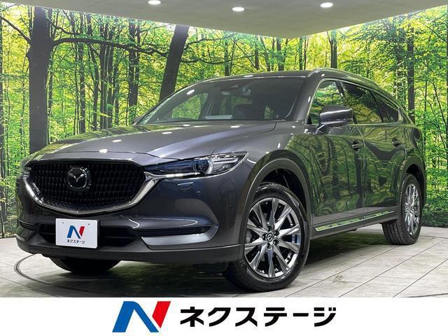 22506278_carP_l_1.jpg