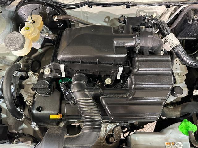 21904872_carP_l_18.jpg