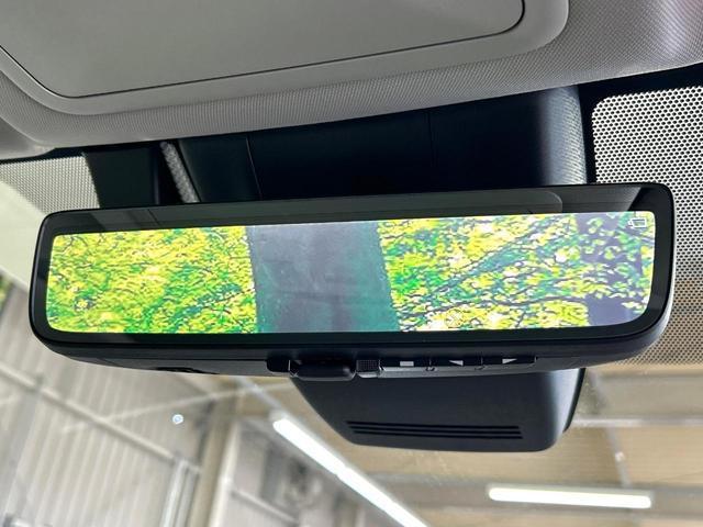 22937211_carP_l_14.jpg