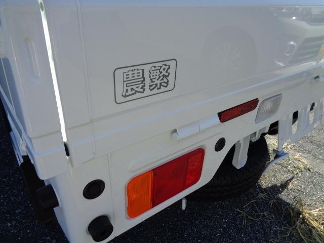 13985943_carP_l_16.jpg