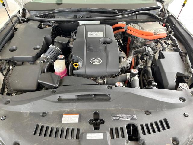 19897595_carP_l_12.jpg