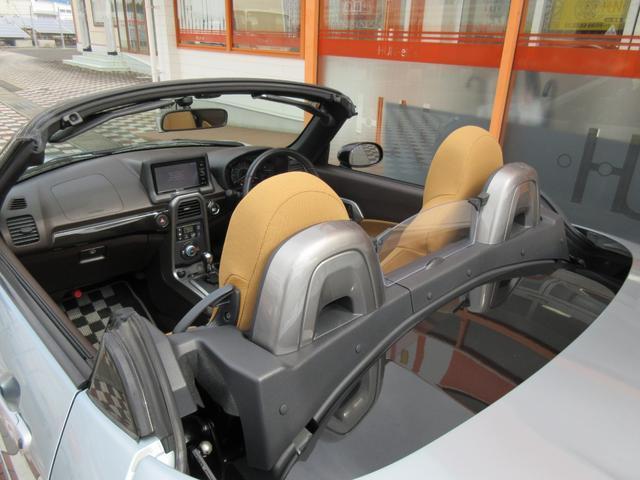 11179911_carP_l_6.jpg