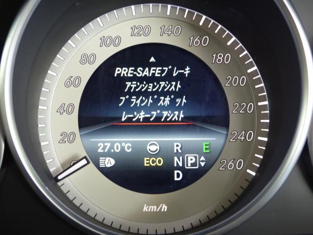 22915038_carP_l_9.jpg
