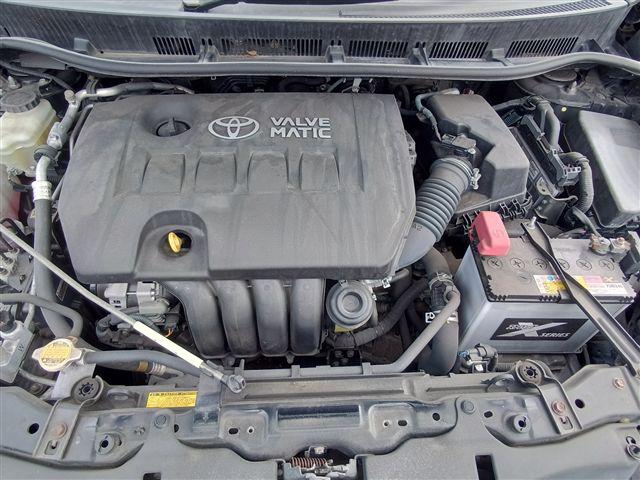 08.jpg