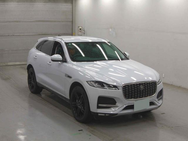22048421_carP_l_10.jpg