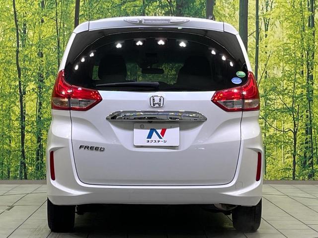 21965874_carP_l_11.jpg
