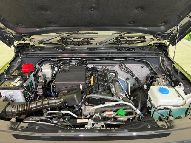 19754392_carP_l_16.jpg