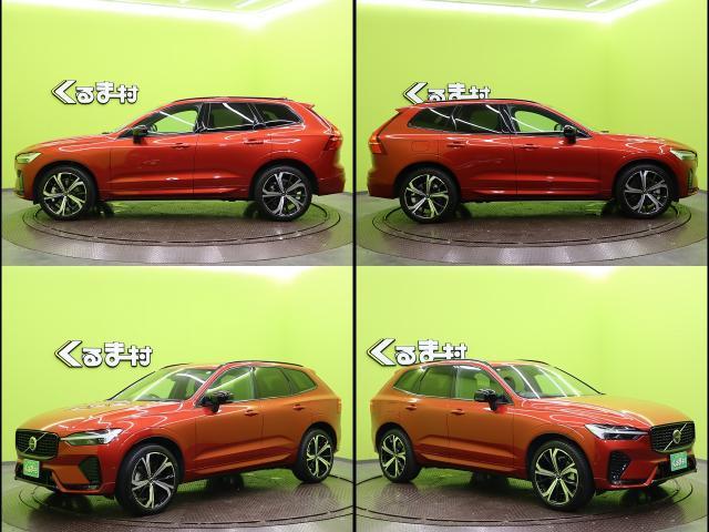 19502458_carP_l_16.jpg