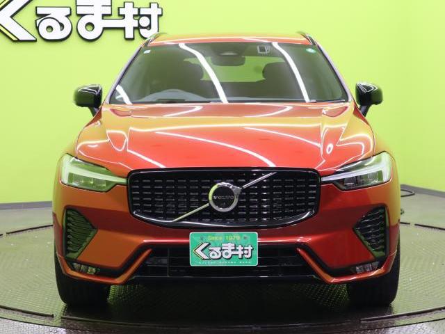 19502458_carP_l_20.jpg